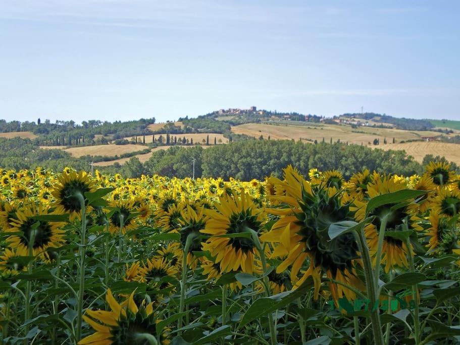 Villa Marta Contignano Esterno foto
